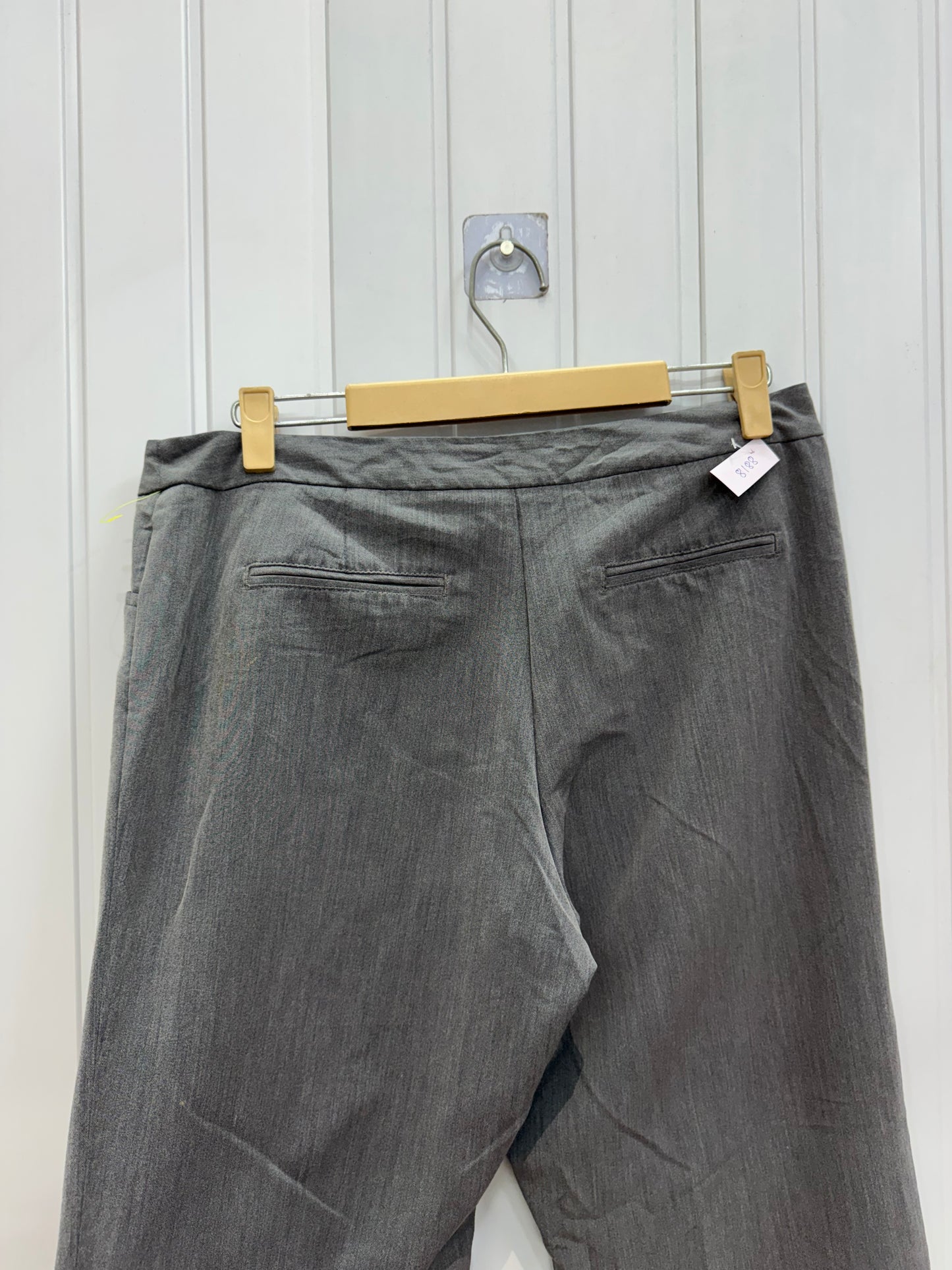 8188-36 Grey Pants